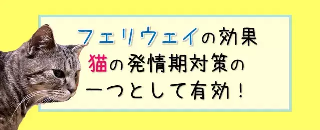 Cosme Kitchen - ネトルリリーフ シナジーカンパニーの通販 by seven swinger briandriveコスメキッチンならラクマ