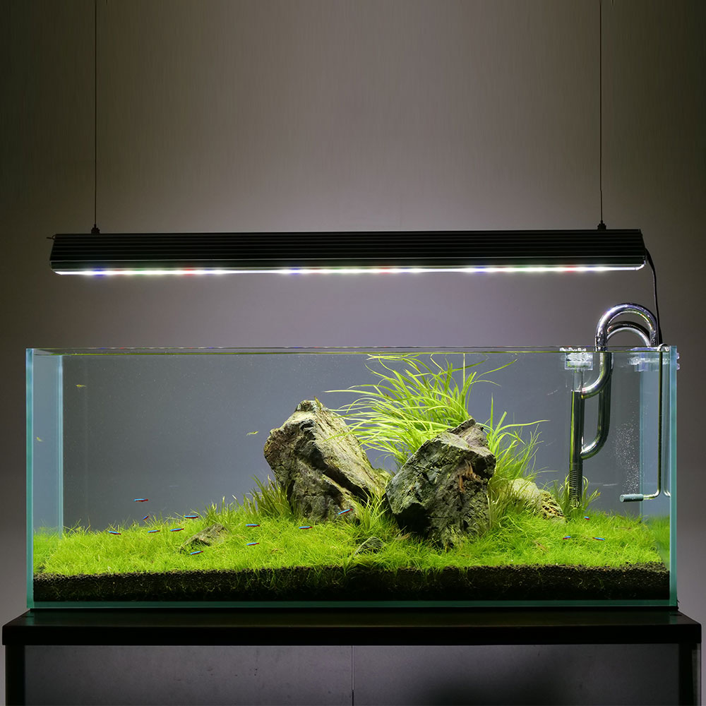 高級旅館と水槽 – アクアリンクBlog