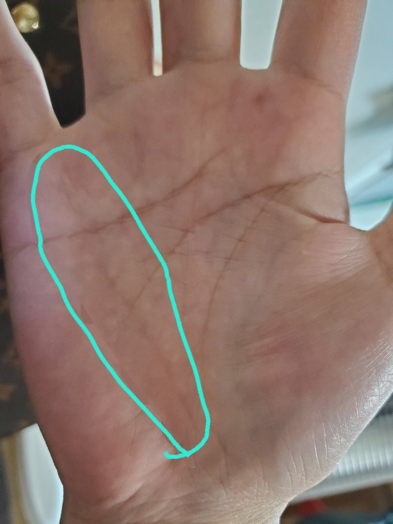 生命線から小指を目指す長い財運線！人見知りだけど社交的な行動が取れる！ - 手相の後藤