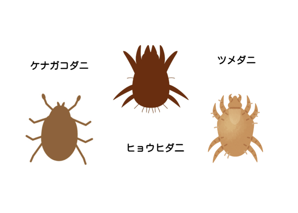 ダニ類による感染症 Q2 - 皮膚科Q＆A 公益社団法人日本皮膚科学会