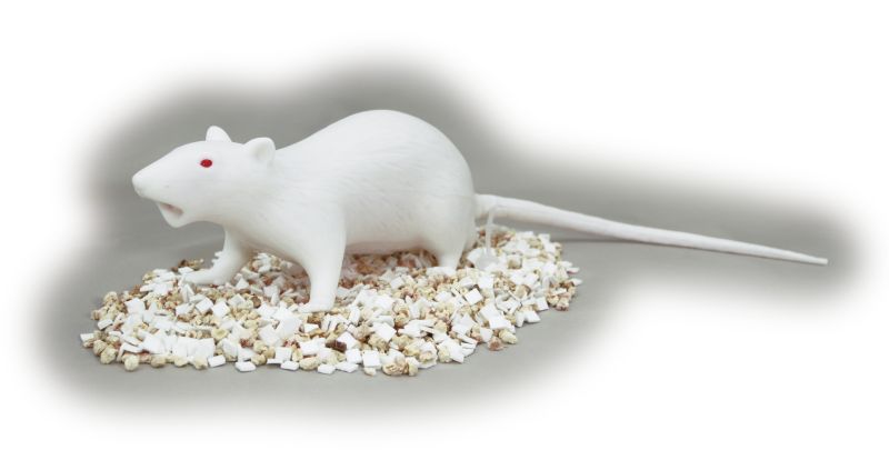 実験医学別冊 無敵のバイオテクニカルシリーズ：改訂 マウス・ラット実験ノート〜はじめての取り扱い、倫理・法的規制から、飼育法・投与・麻酔・解剖、分子生物学的手法とゲノム編集まで- 羊土社