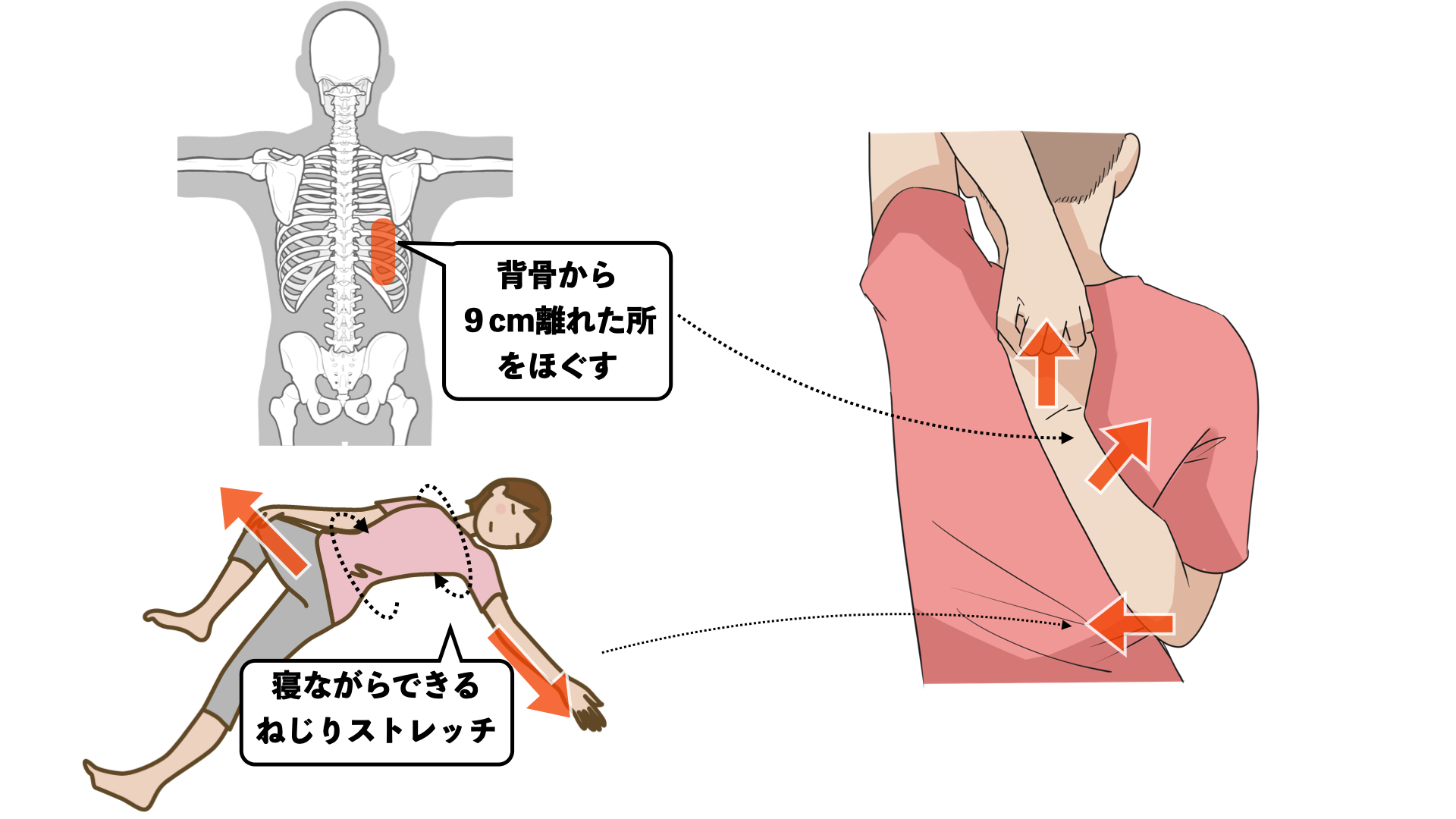 肩甲骨をはがして肩こりを解消しよう！行徳の整体 大川カイロプラクティックセンター 行徳整体院