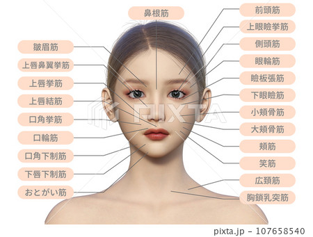 1-4 1人体の方向と区分 解説かずひろ先生 黒澤一弘解剖学