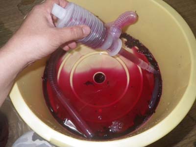 Amazon.co.jp: 元アスリートの筋肉太腿フェロモン~エロごっつい太腿に挟まれながら昇天してみませんか? アロマ企画DVD: DVD