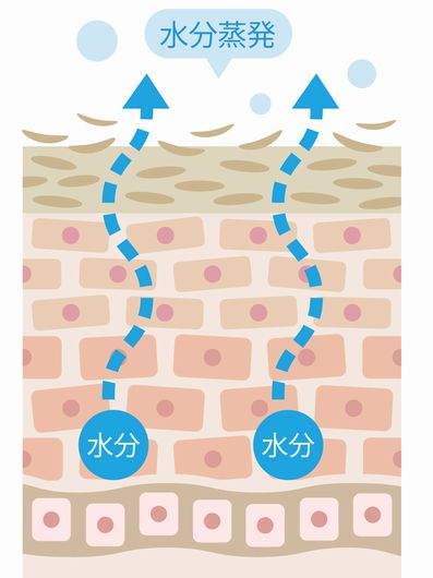 洗顔後に白いカス、一体なんでしょう？画像のように白いカスが洗顔後からずっ- Yahoo!知恵袋