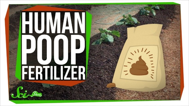 牛糞肥料 堆肥 の効果とデメリット、撒き方や人気商品農家web