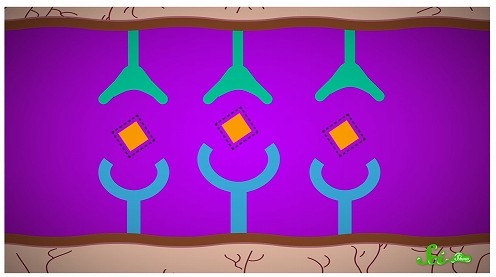 ダラシンT クリンダマイシン ニキビ治療薬こばとも皮膚科栄駅 名古屋市栄区 徒歩2分