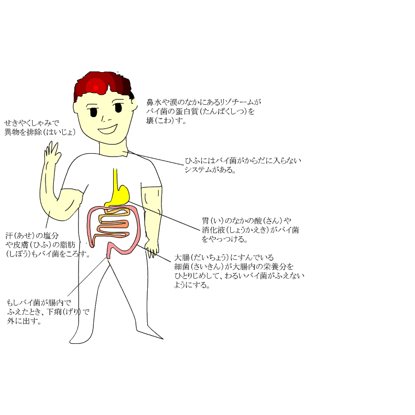 楽天市場 膿栓 医薬品・コンタクト・介護 の通販 アルボース うがい薬CPN 3L 鼻 のど
