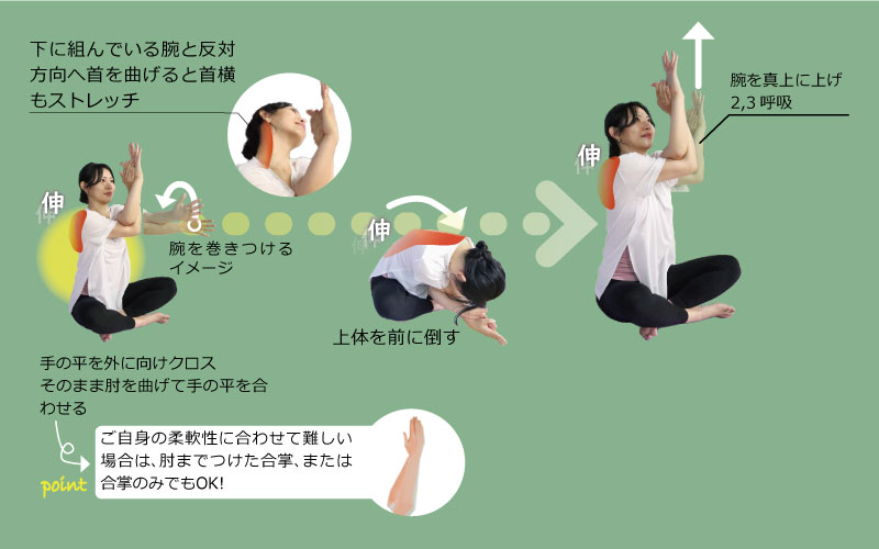 股関節・肩関節の柔軟性UPしたい方におススメのヨガポーズ！ 蓮華座 パドマアーサナヨガヴィオラスクール