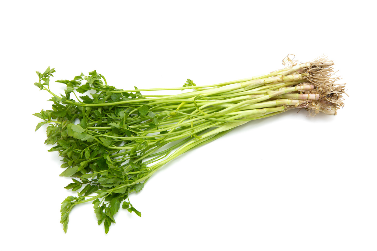 せりは根っこまでおいしい！黒い部分も食べる？洗い方やせり鍋など簡単おいしい養生ごはん農業・ガーデニング・園芸・家庭菜園マガジン AGRI PICK