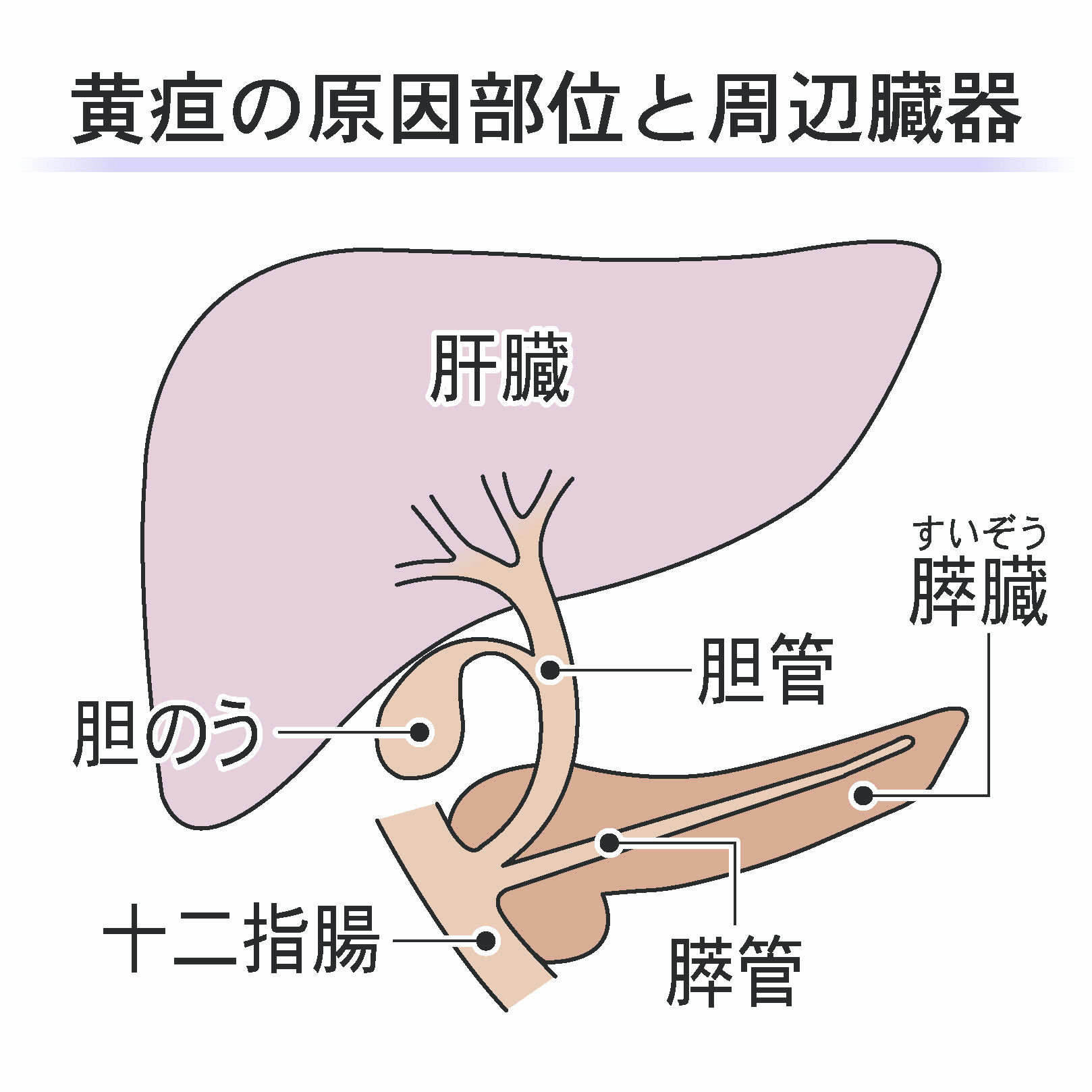 眼里白眼球发黄是怎么回事-有来医生