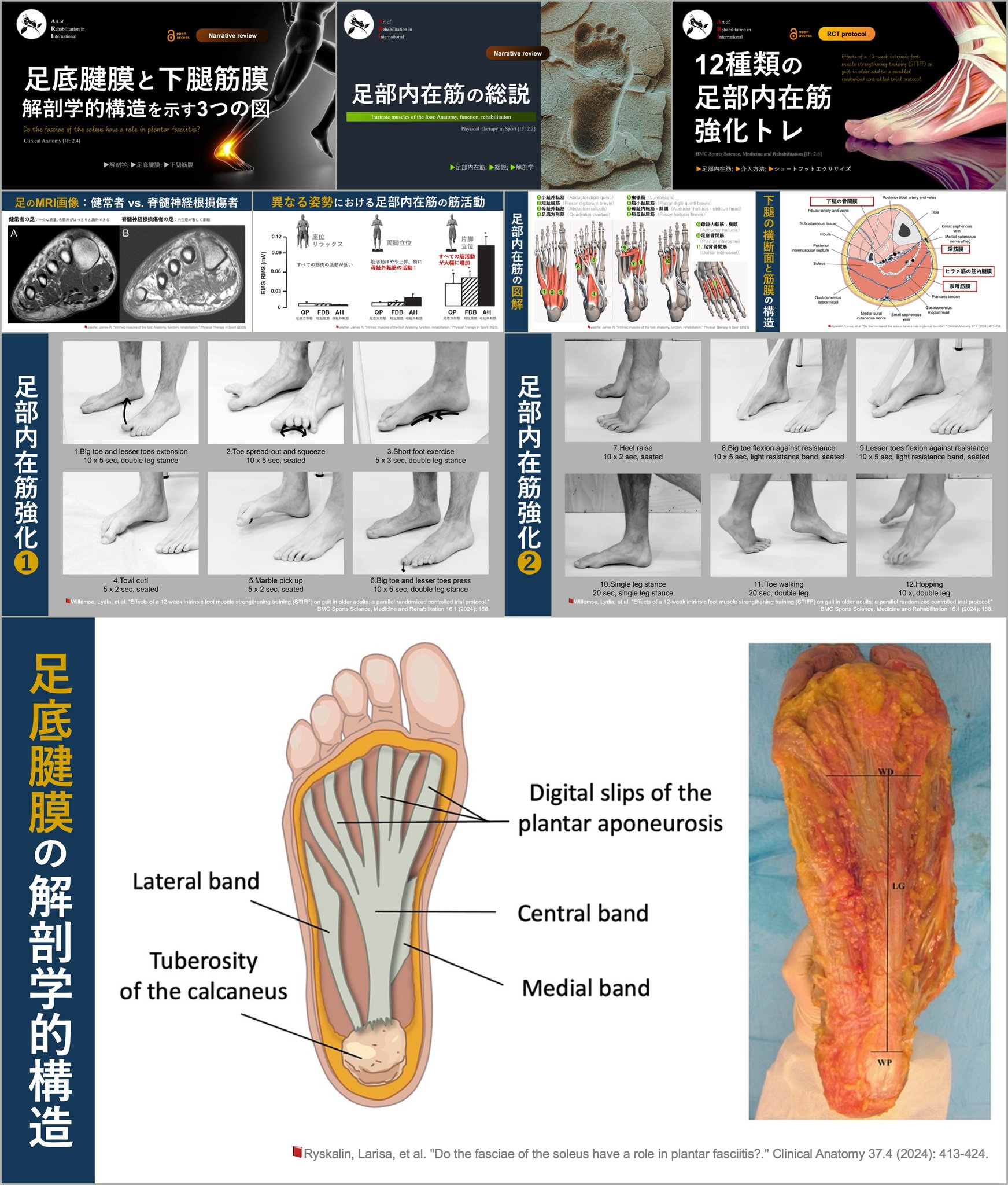 むくみや水分代謝に！ 腎臓を元気にするおすすめの足つぼ4選からだにいいこと