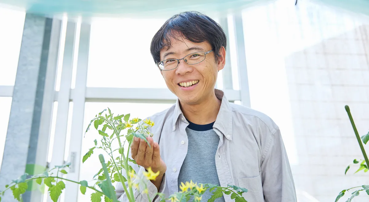 実がなる夢」の意味、象徴と状況別の診断夢占い夢幻