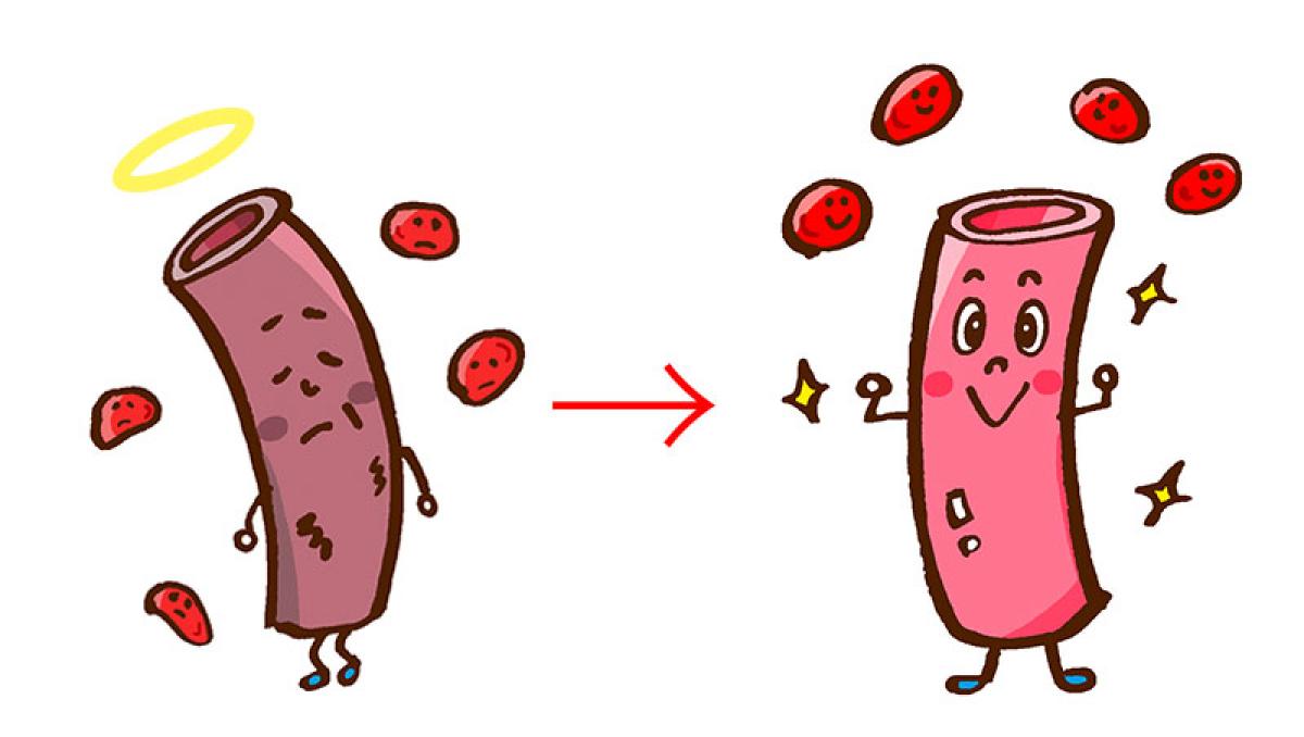 脳梗塞予防の新常識！ルイボスティーが血管を守るメカニズムを徹底解剖再生医療×リハビリ・脳卒中・脊髄損傷