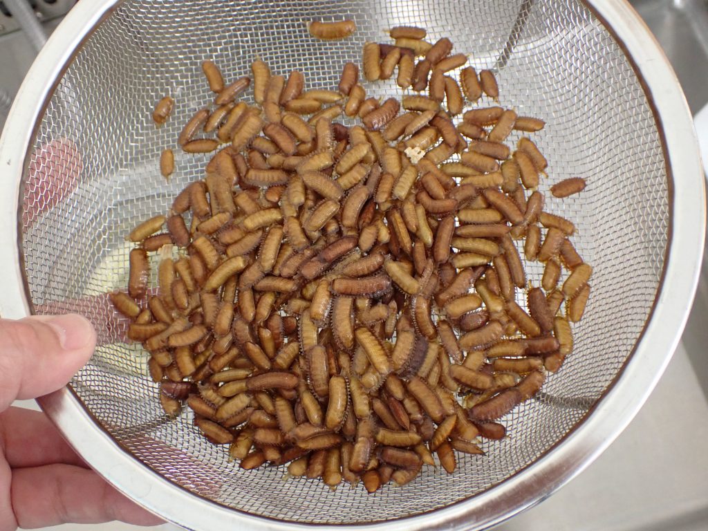 アースレッドＷ ６～８畳用 ゴキブリ 害虫駆除 殺虫剤 くん煙タイプマツキヨココカラオンラインストア