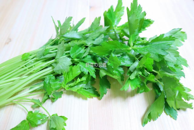 国内産 糸みつば 1パック 30g