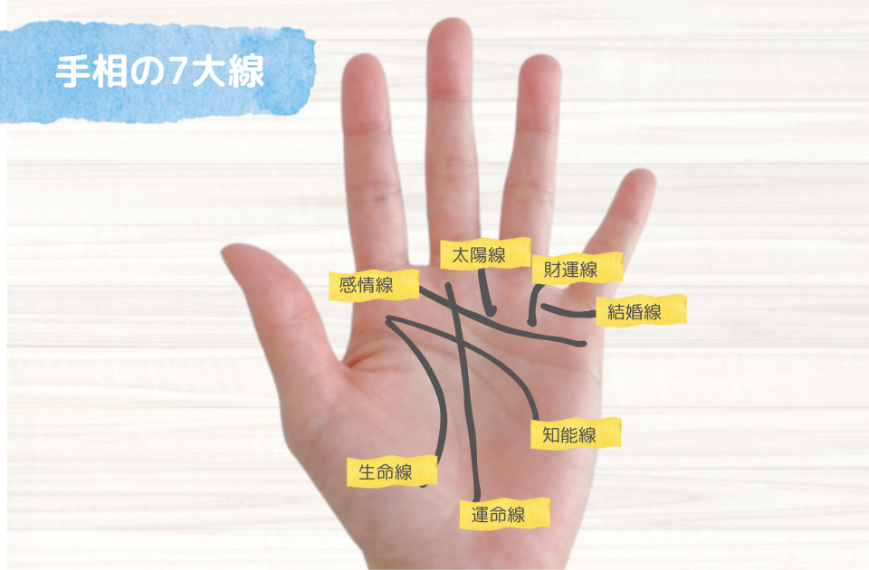 財運線」は棚ぼた式金運を知らせる線！結婚線とクロスしていると玉の輿に!? えみ先生の手相読みkufura クフラ 小学館公式