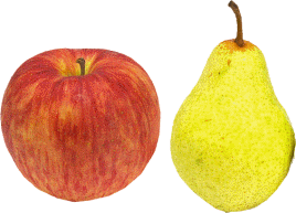 リンゴ型・洋梨型の運動・食事処方運動×栄養＝クッキングババ マッスルクッキングトレーナー馬場