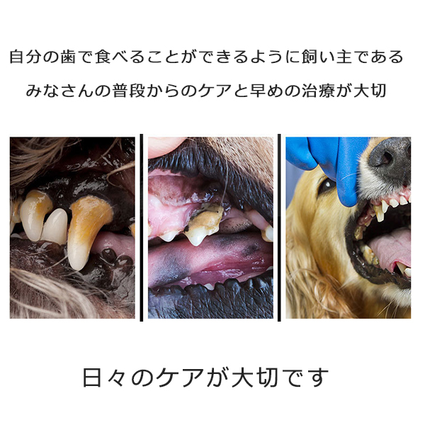 Amazon.co.jp: Kayswang 歯石取り 犬 歯磨き はみがき 猫 ペット デンタルケア 口腔歯ブラシ ガム 口臭 歯垢 ジェルペットスプレー 犬猫用 歯磨き不要 ペット用 歯石・歯垢に効く50ml2PCS: ペット用品