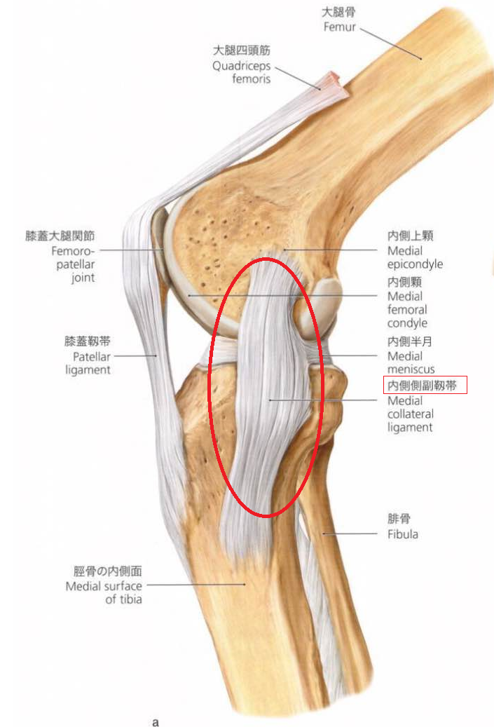 クリスティアーノ・ロナウドの腹筋の影に、仏発の美容機器アリ