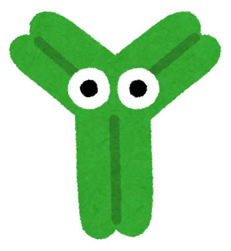 抗体」のイラスト素材・ベクター画像 - イメージマートimagemart