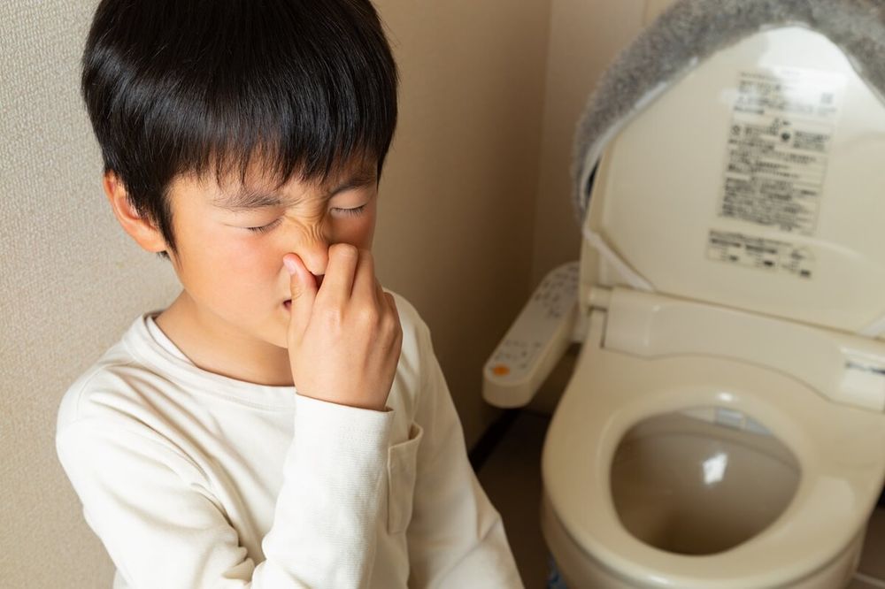 解決 トイレが下水臭い原因は？自分で出来る対処法や予防、掃除方法を解説
