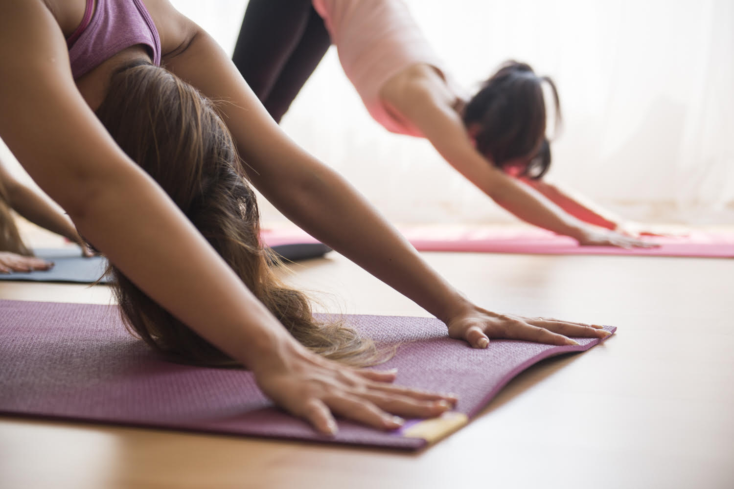 ヨガ 猫の伸びのポーズ イラスト - No: 2514679無料イラスト・フリー素材なら「イラストAC」