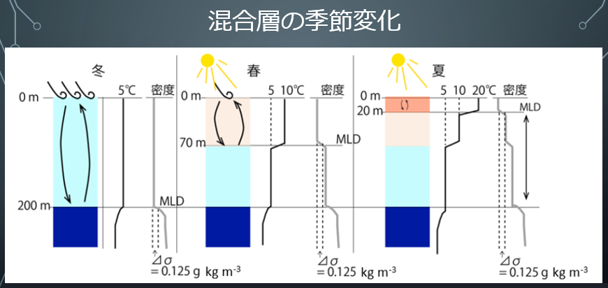 コース: 表層混合層LASBOS Moodle