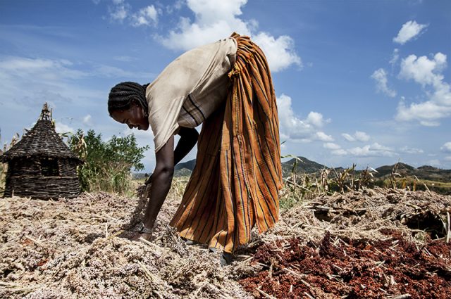寄稿「砂漠化について考える。日常を非日常にしないために。」 ～6月17日は、砂漠化および干ばつと闘う国際デーです～国連広報センタ