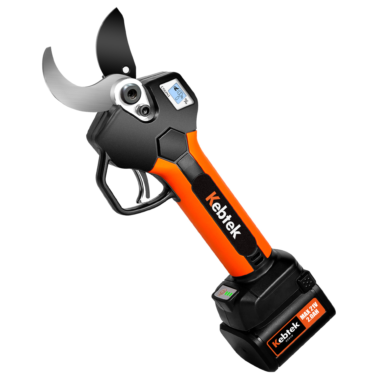 果樹剪定の基本を知って味も見た目も楽しもう！種類別の適切な時期や注意点もセゾンのくらし大研究