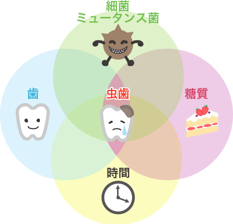 子供の歯についてQ&A!「From韓国イレブン歯科」韓国トップ技術の矯正専門イレブン歯科の公式ブログ