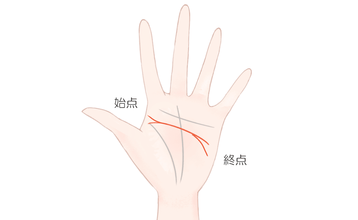 知能線 枝分かれ 3本TikTok