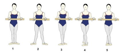 バレエにおける「足のポジション」について・バレエを始める人はレッスン前に覚えておこう！ 大人バレエ初心者必見 GongBlog