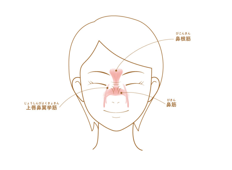 目のキワと鼻根のシワが消失！ パンダアイマスク の威力に驚いた美ST ONLINE