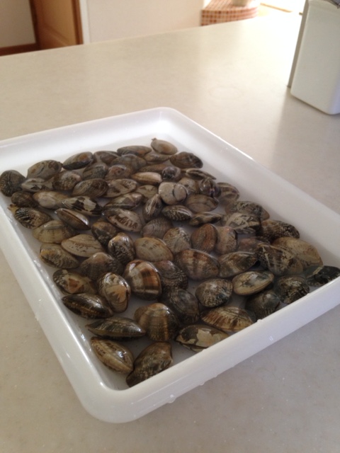 あさりの砂抜きは必要？簡単にできる時短方法や保存方法などを紹介みんなでつくる！暮らしのマネーメディア みんなのマネ活