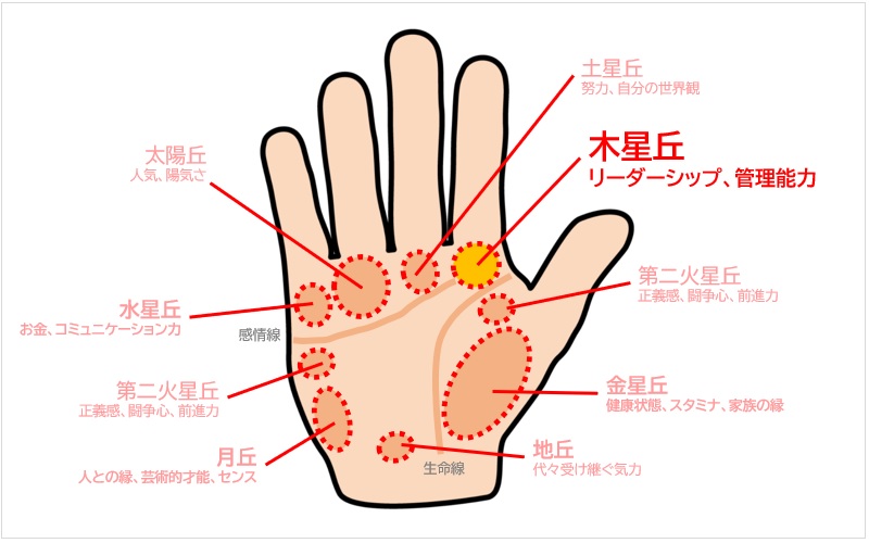 手相占い 木星丘 人差し指の下 の見方を占い師が教えます！ 縦線や横線の意味は？Oggi.jp