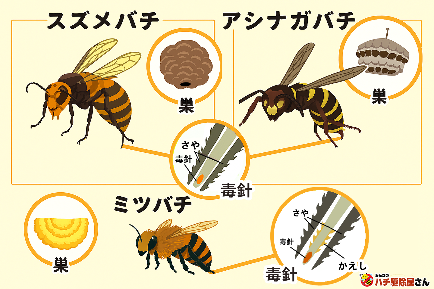 キアシナガバチに刺された : 花咲かすおじさん