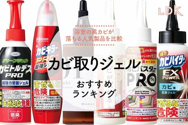 窓枠ゴムパッキンの黒いカビ汚れの落とし方塗って放置するだけで簡単に白くなる「ロックタイト カビ取りジェル」使用レビュー金のなる木で大家生活