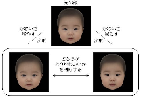 将来イケメンになる人の特徴。我が子の見極め方や早く出会うコツまで徹底解説Smartlog
