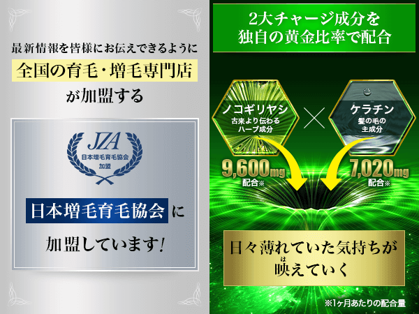 iHerb ２ヵ月で髪が増えた！増毛、育毛に効くアイテム２選🌿