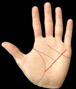 生命線で寿命は本当にわかる？手相占いの生命線の見方と意味まとめ