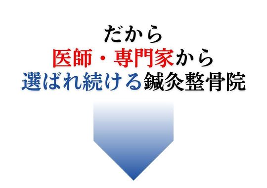 骨の連結 - 脊柱および頭蓋の連結 - 名古屋市西区の椎間板ヘルニア・腰痛整体 AandK Therapy Studio