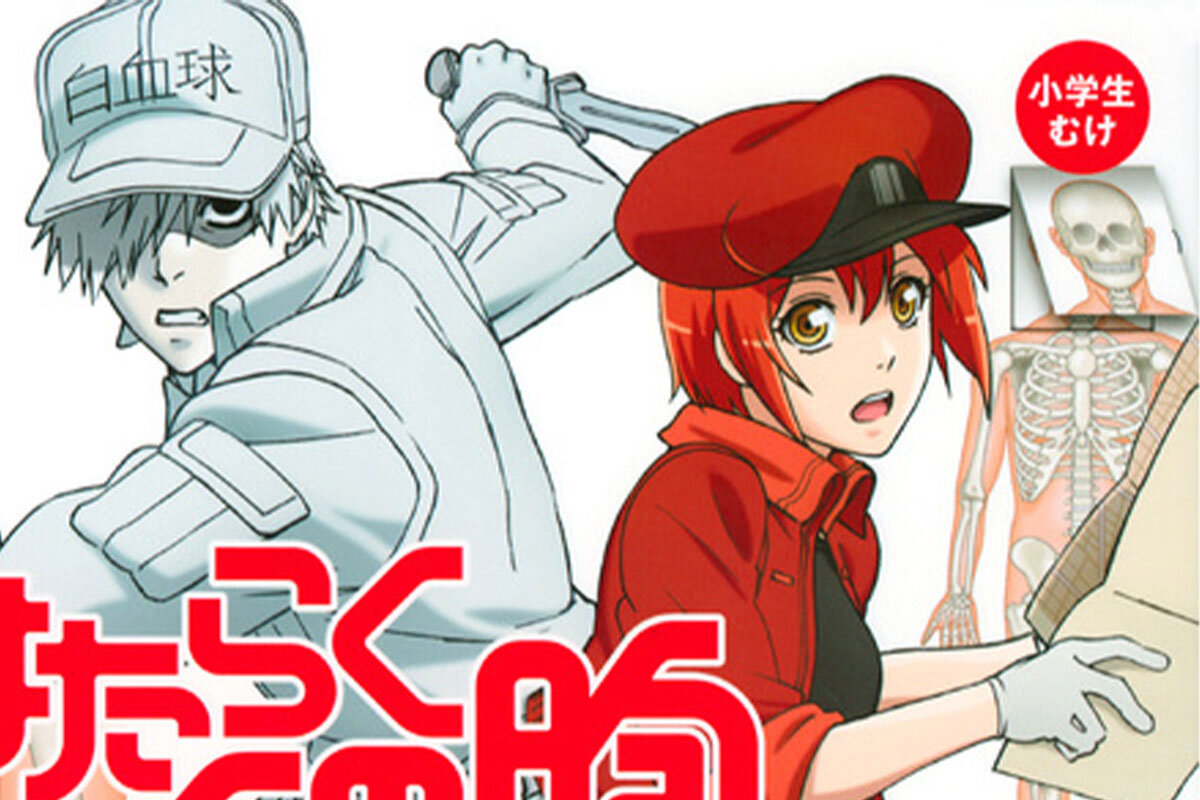 白血病」と診断された小６の男の子に僕たち、私たちができること。「第４１回 心うごかす力」明「漫画家しながらツアーナースしています。」よみタイ
