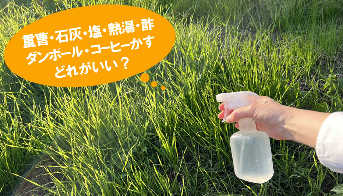 雑草に熱湯をかけるだけで除草完了！簡単で効果的な熱湯のかけ方を解説お庭110番