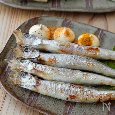 子連れにしん 1kg鰊とししゃもの卵札幌 まるみ水産- 北海道発見市場 北市ドットコム