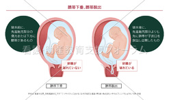 病気がみえる - チーム医療を担う医療人共通のテキスト