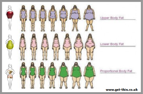 骨格ナチュラル体型におすすめのダイエット方法とビフォーアフター 徹底解説