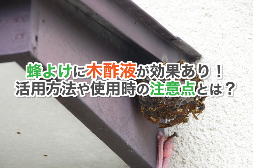 スズメバチ対策 - 富士吉田市公式ホームページ 環境政策課