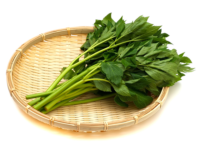 おやど 二本の葦束 の空室状況を確認する - 宿泊予約は 一休.com