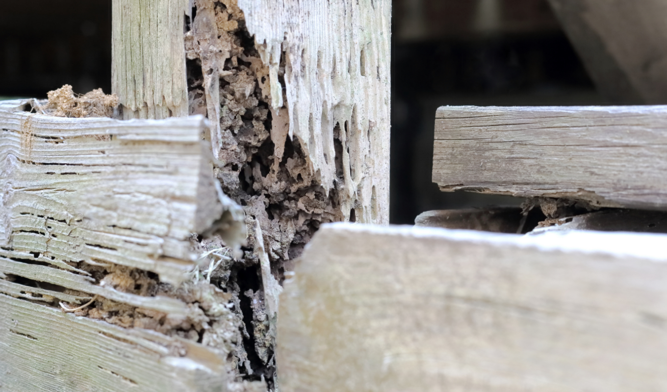 木材の補修システムスリー製品の使用例ヒロウッデンカヌーショップ エポキシ